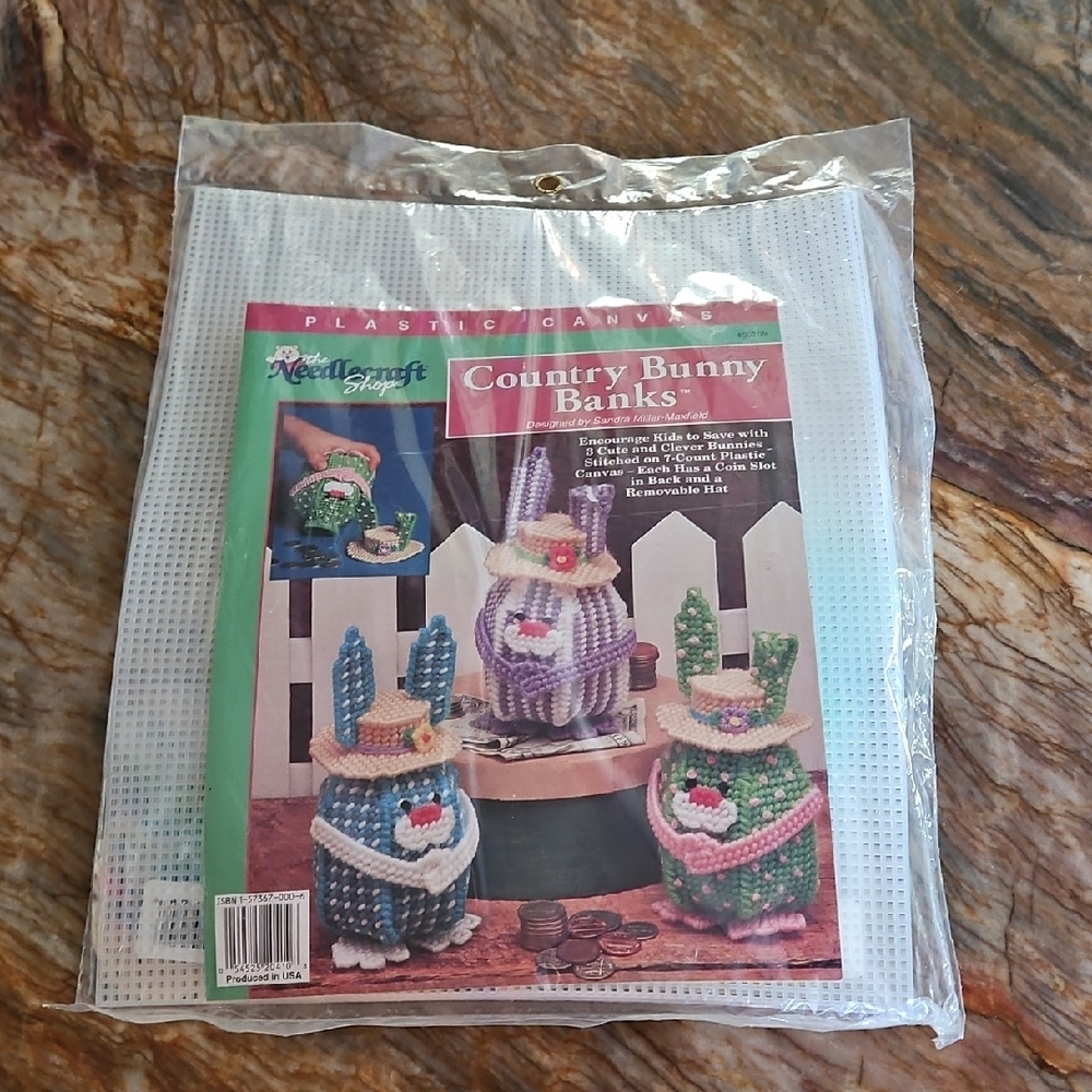 Country Bunny Banks Plastic Canvas Kit - Multicolor